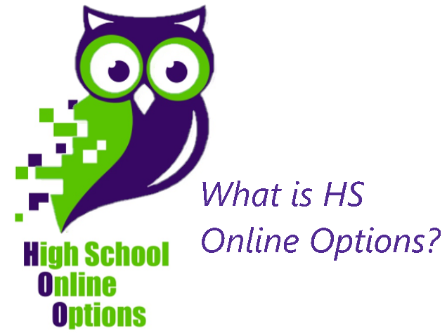  What is HS Online Option